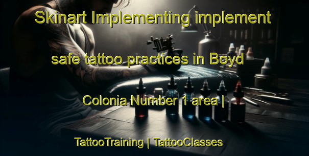 Skinart Implementing implement safe tattoo practices in Boyd Colonia Number 1 area | TattooTraining | TattooClasses | SkinartTraining-United States